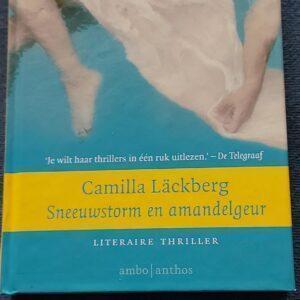 Sneeuwstorm en amandelgeur - Camilla Läckberg