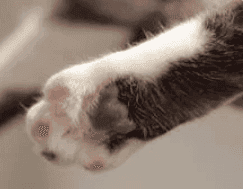 Verlanglijstje Verlanglijstje