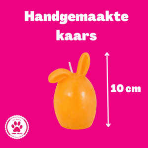Handgemaakt kaarsje (haasje met gebogen oortjes)