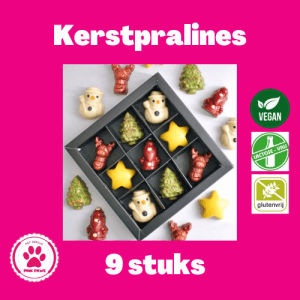 Vegan kerstpralines - 9 stuks