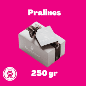 Doosje pralines 250gr